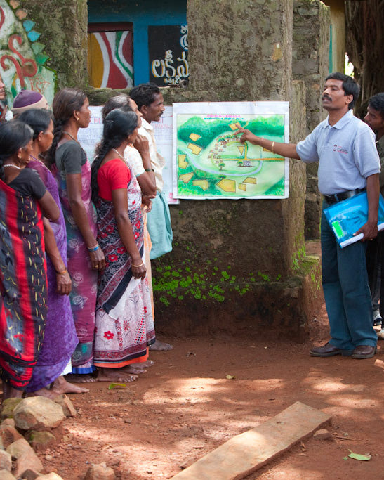 Fondation Naandi : partage connaissance café bio Araku