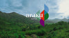 La vallée d'Araku : Lieu de naissance du café de spécialité bio Araku Coffee