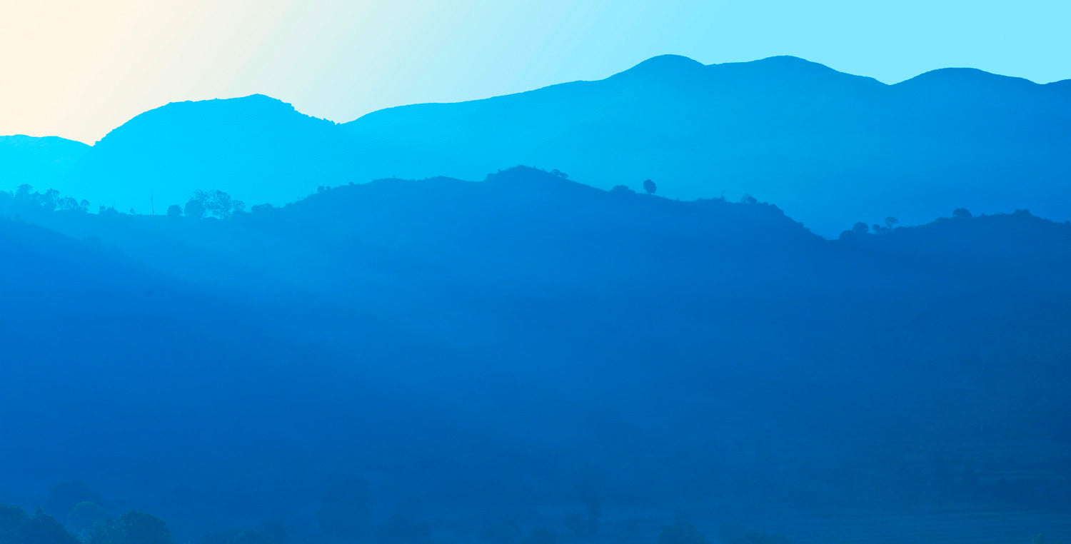 Vallée Araku : producteur de café indien d'exception