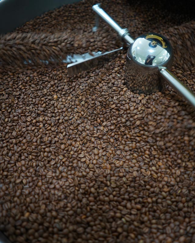 Araku : des cafés en grains bio origine Inde à la fois doux et intenses