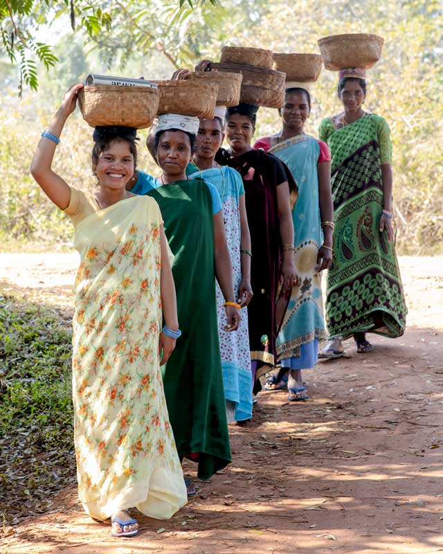 les cafés araku coffee sont sont certifié bio et fairtrade