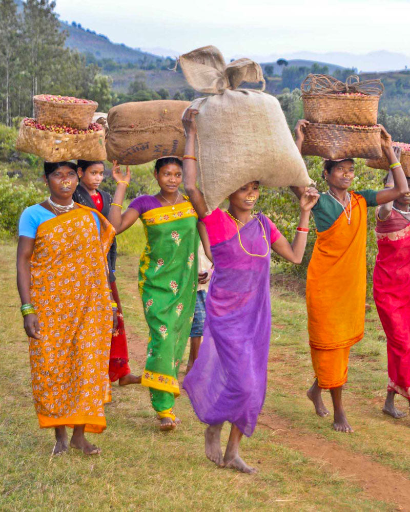 Blog : La culture du café en Inde