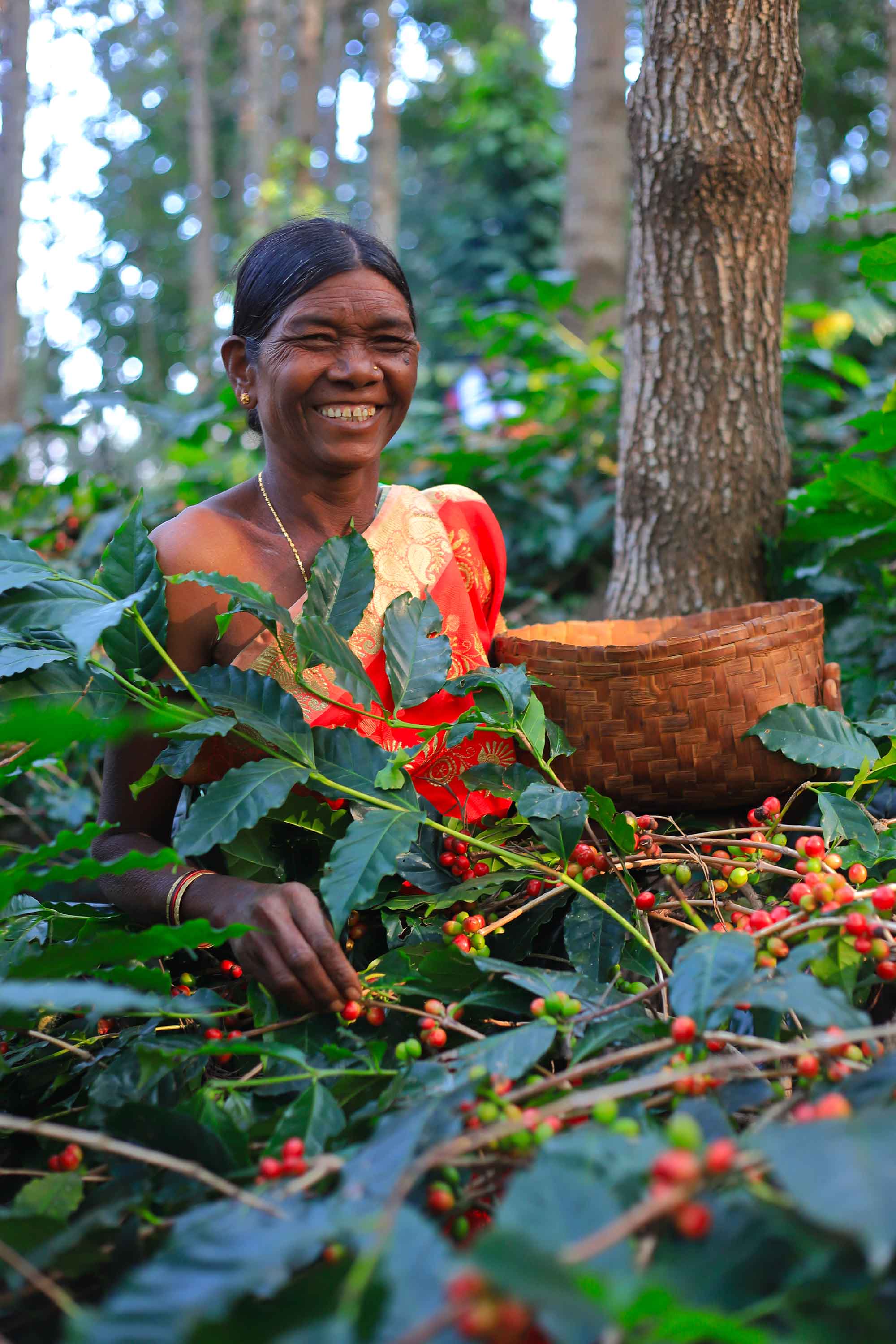 Café haut de gamme : café équitable et bio pour méthode douces 