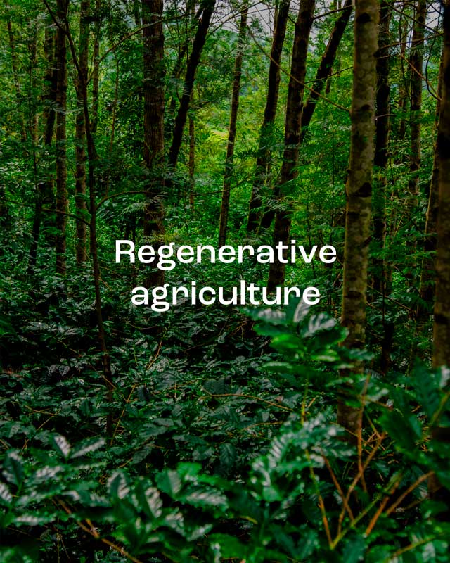 Arakunomics regenerative agriculture for the planet